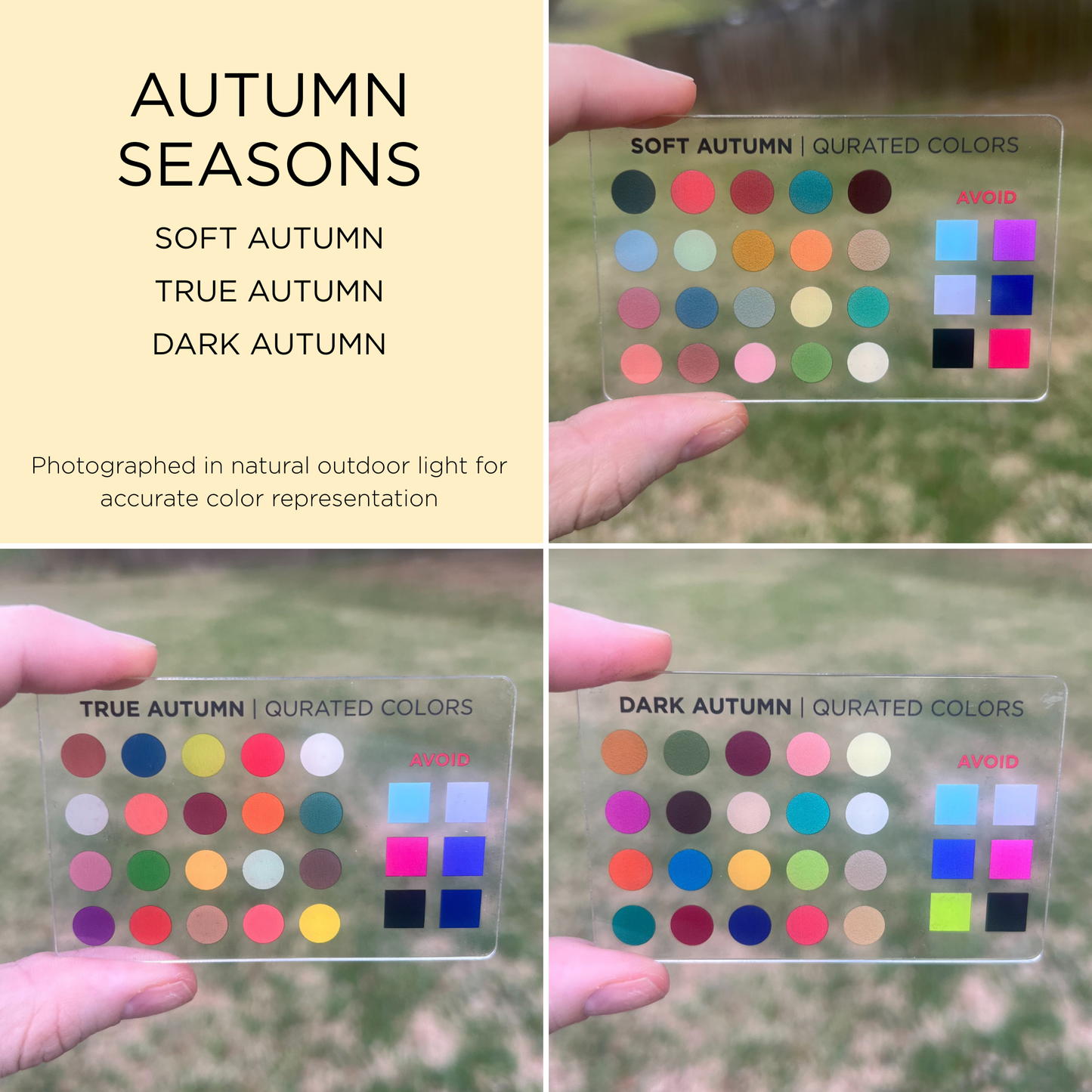 Credit Card Seasonal Color Guide
