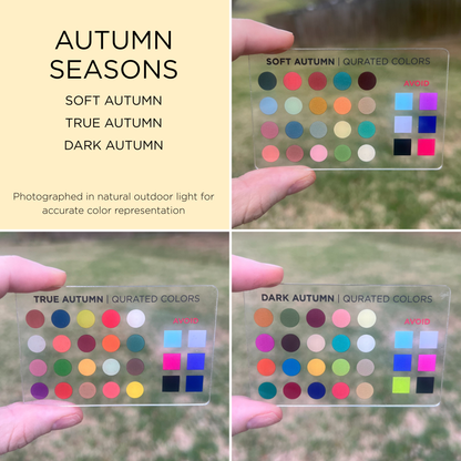 Credit Card Seasonal Color Guide