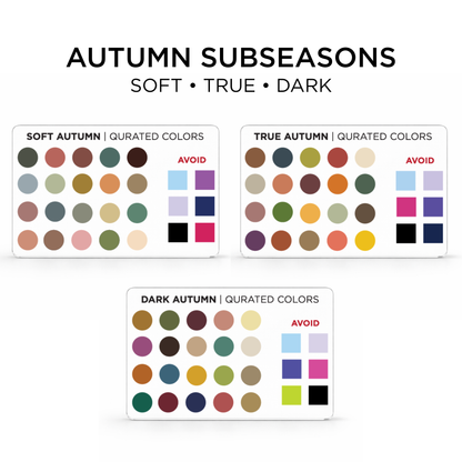 Credit Card Seasonal Color Guide